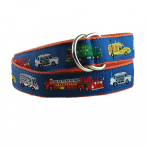 Kids Orange D Ring Belt