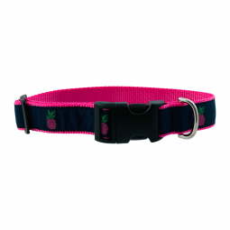 Adjustable Dog Collar in Hot Pink Nylon with Pink Pineapple Motif