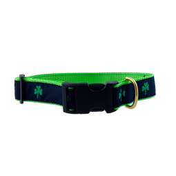 Adjustable Dog Collar in Green Nylon with Shamrock Motif