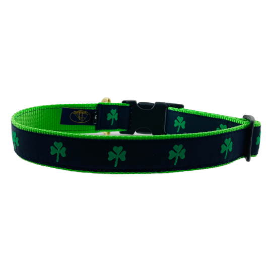 Kelly green hotsell dog collar