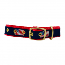 Classic Dog Collar in Red Nylon with American Flag