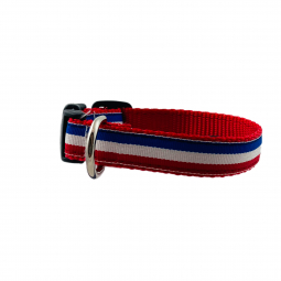 Adjustable Mini Dog Collar in Red Nylon with GGS61 Ribbon