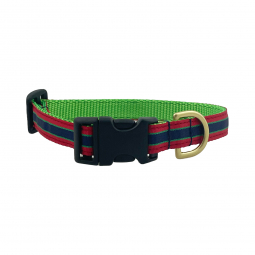Adjustable Mini Dog Collar in  Green Nylon with GGS Ribbon